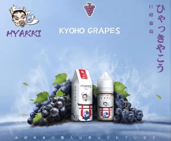 HYAKKI 哈婭綺 HYAKKI 哈婭綺 煙油 電子煙油 小煙油 小油